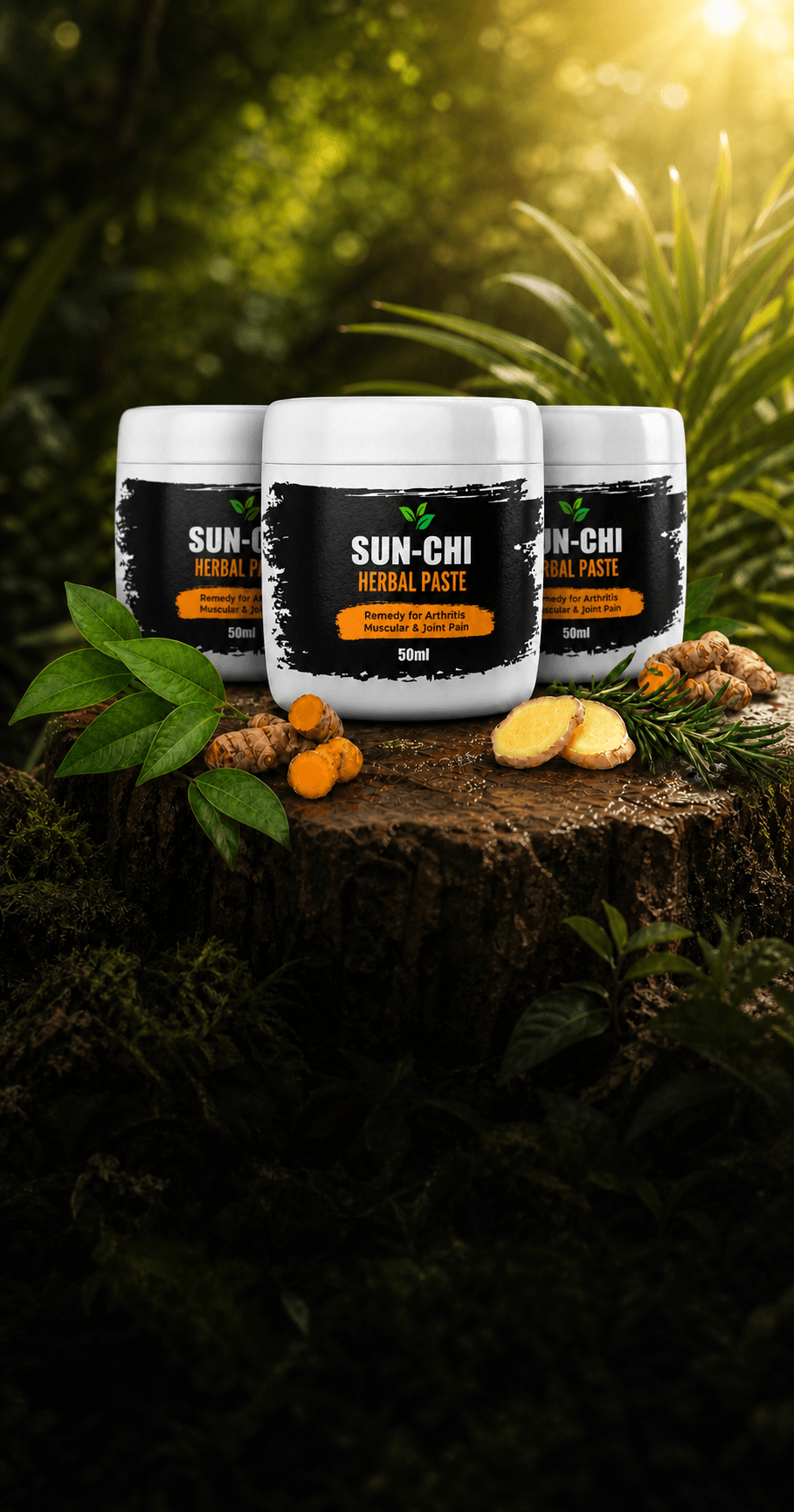 SUN-CHI herbal paste for chronic pain