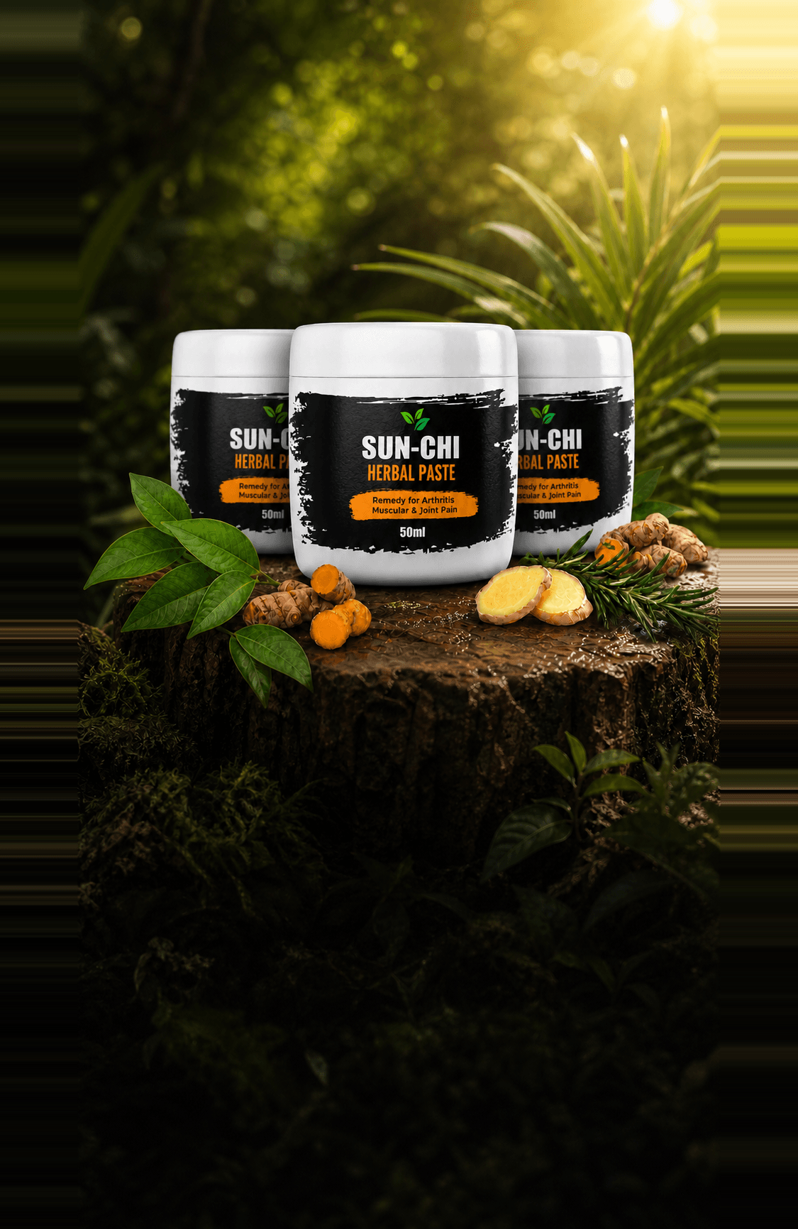 SUN-CHI herbal paste for chronic pain